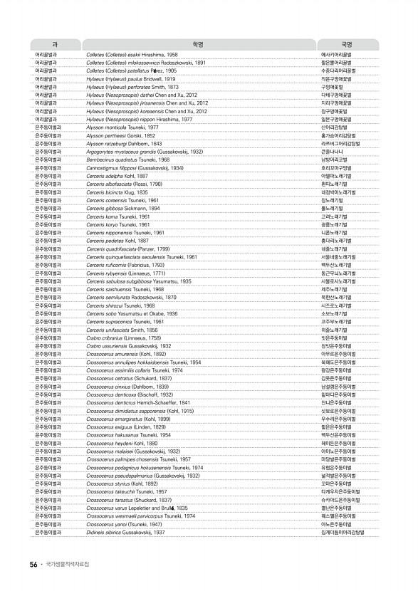 48페이지