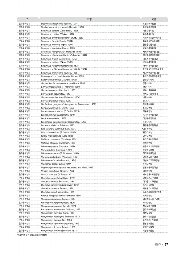 49페이지