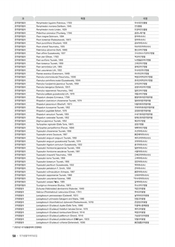 50페이지