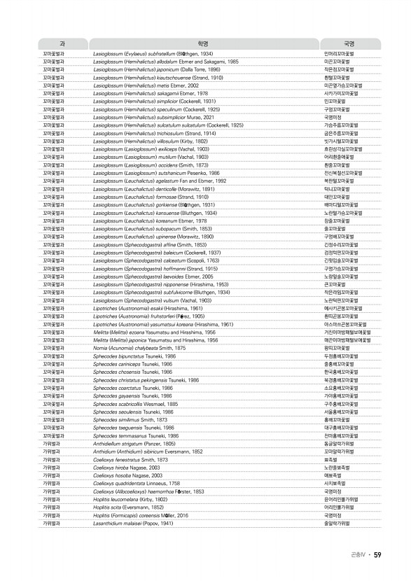 51페이지
