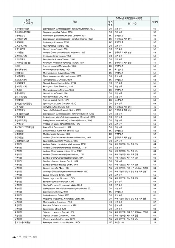 60페이지