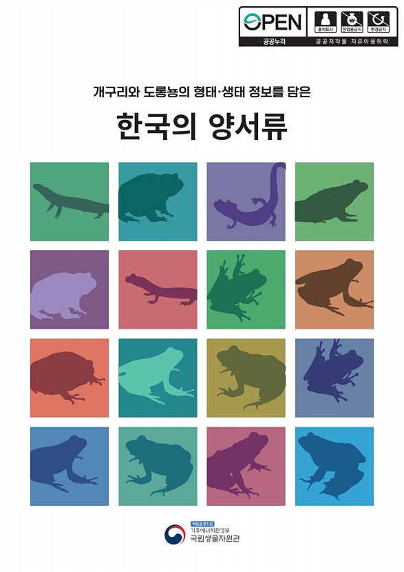 페이지