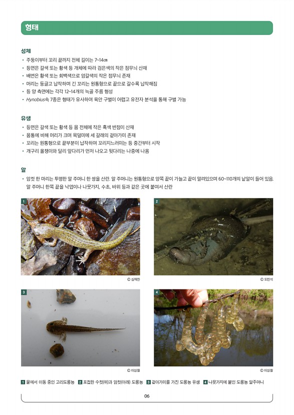 페이지