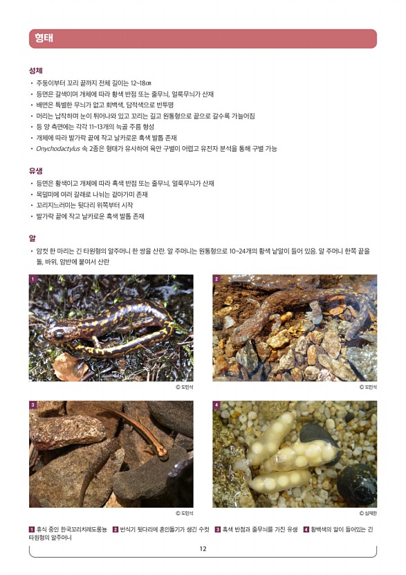 4페이지