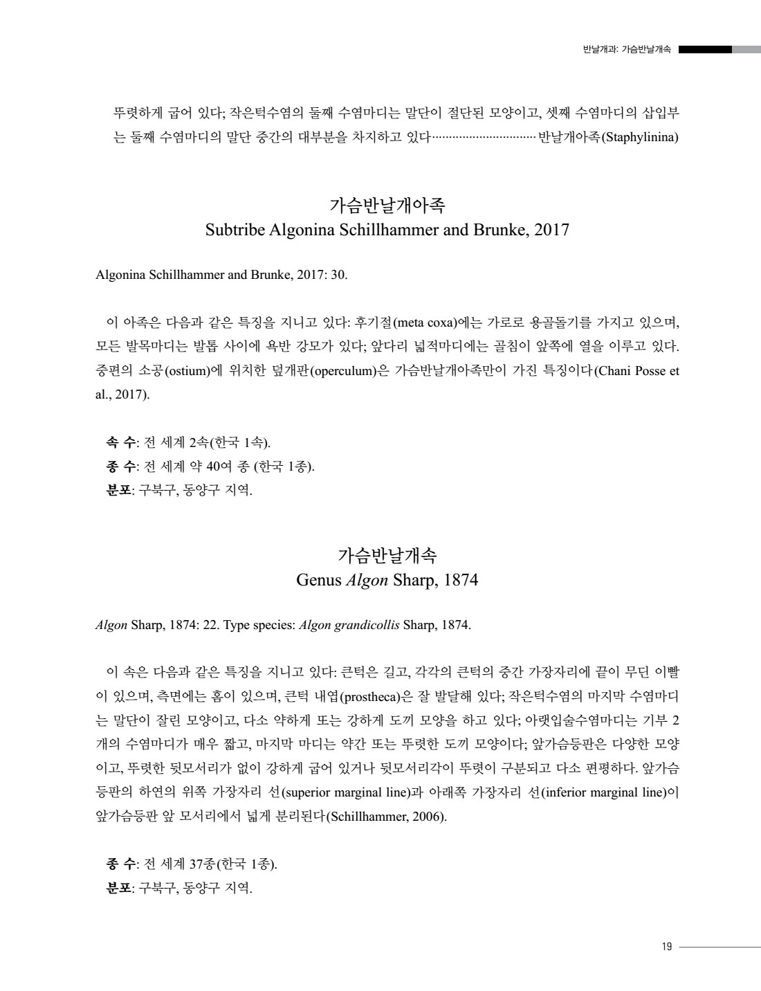 페이지