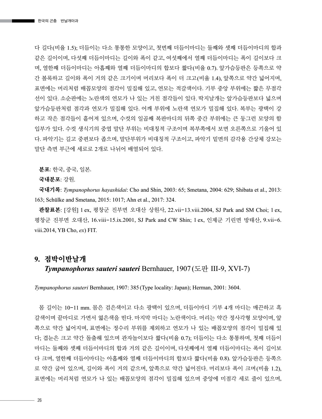 페이지