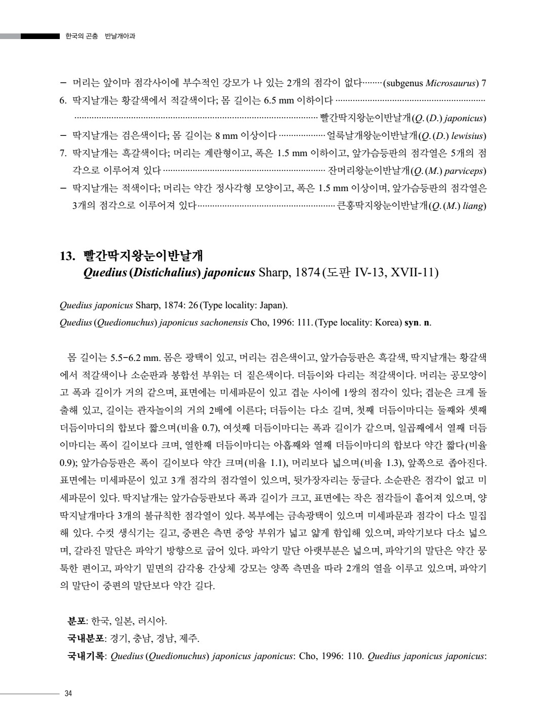 페이지