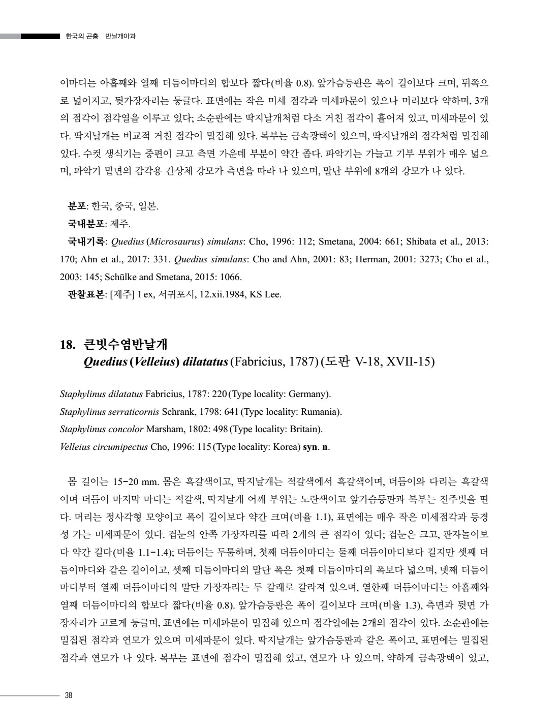 페이지