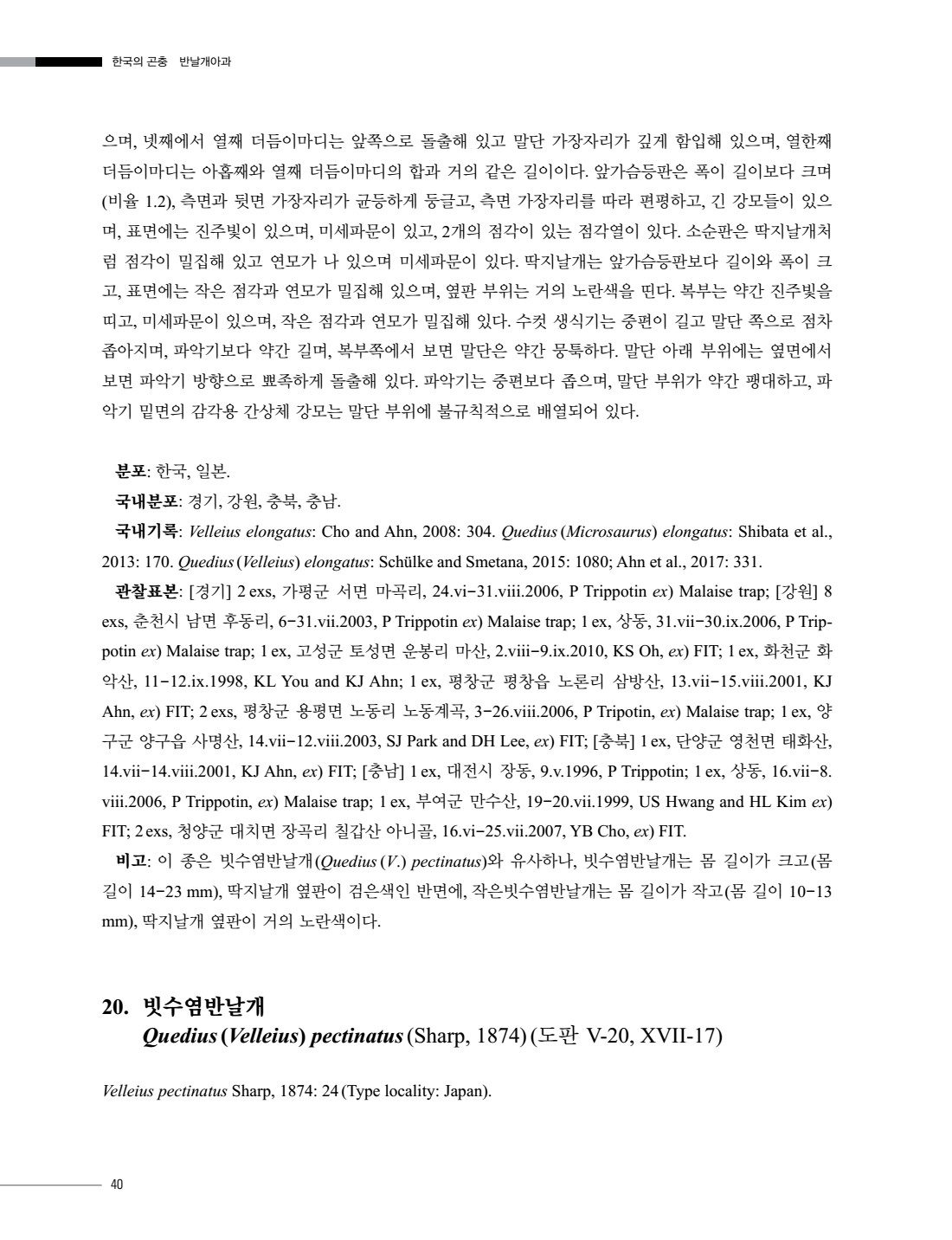 페이지