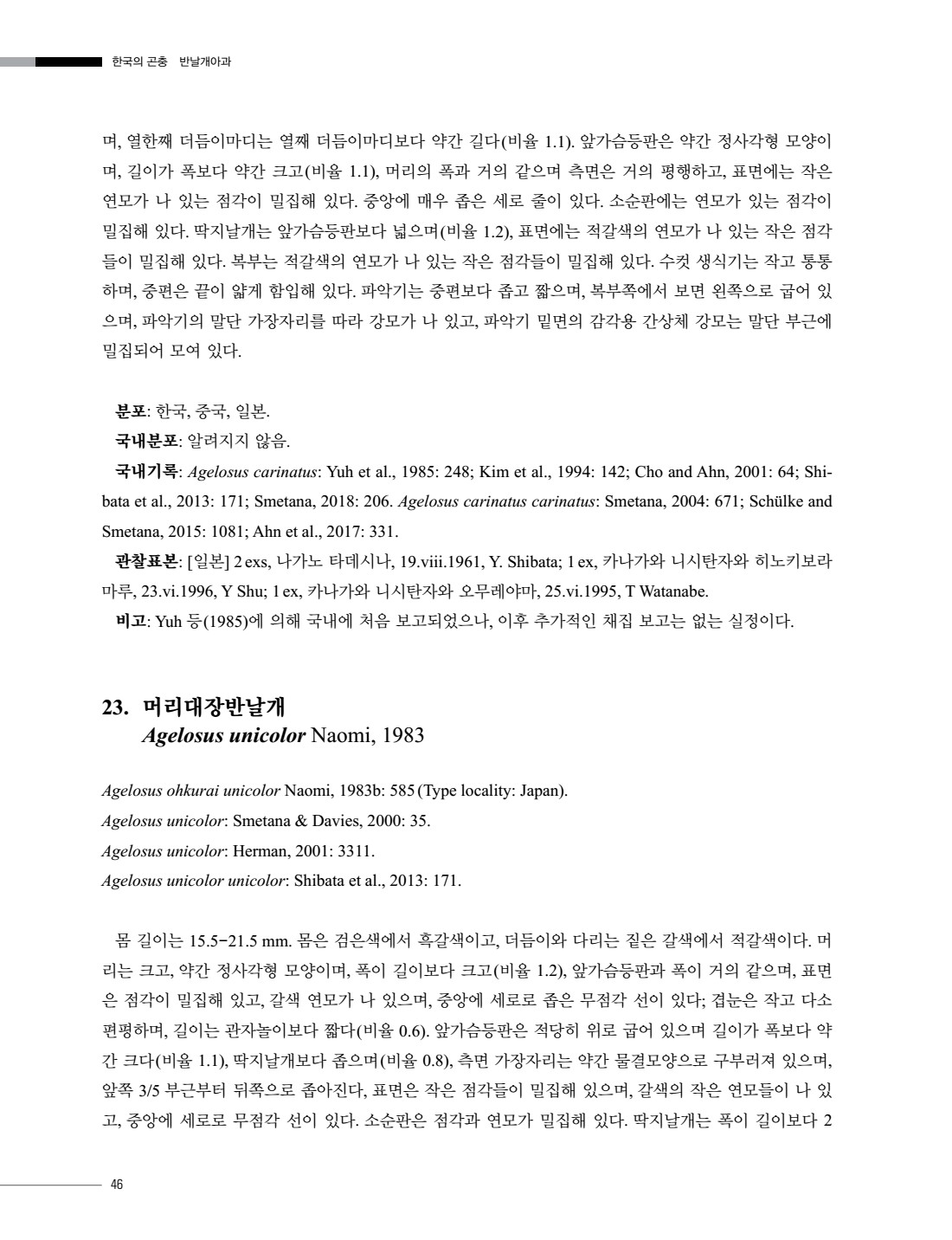 페이지