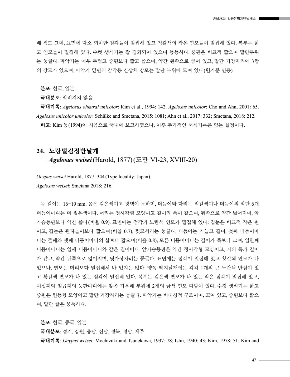 페이지