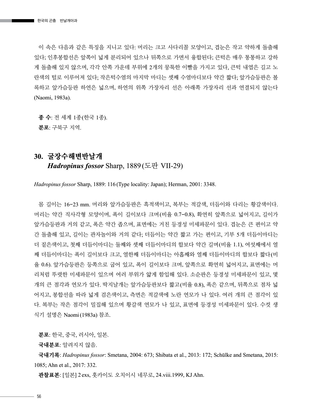 페이지