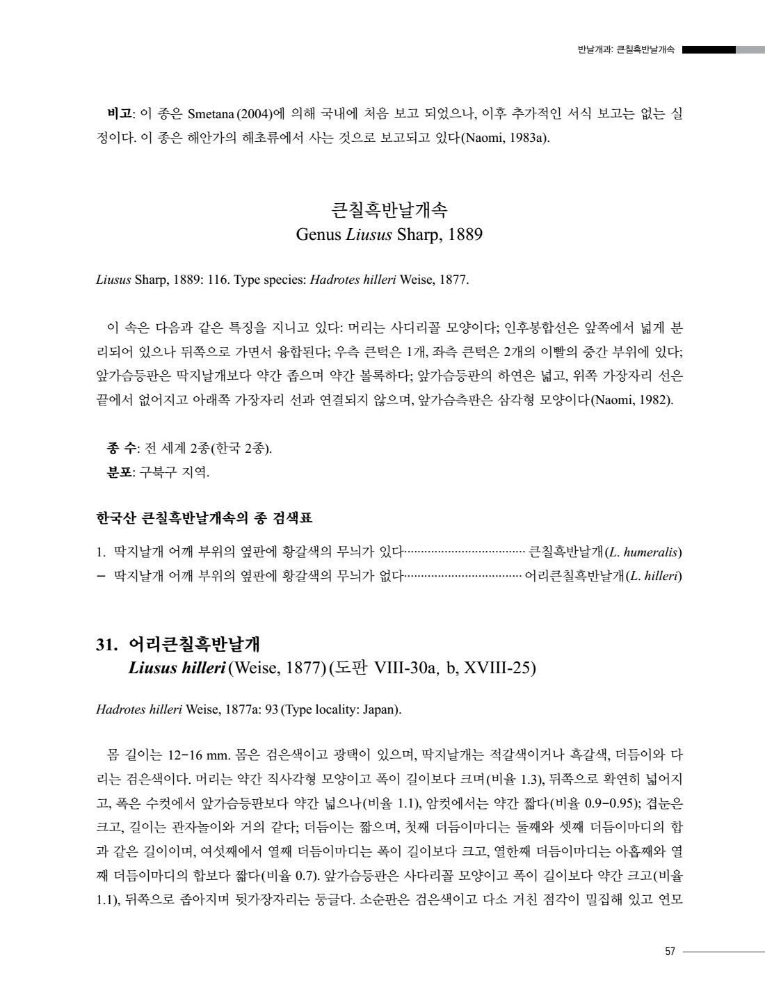 페이지