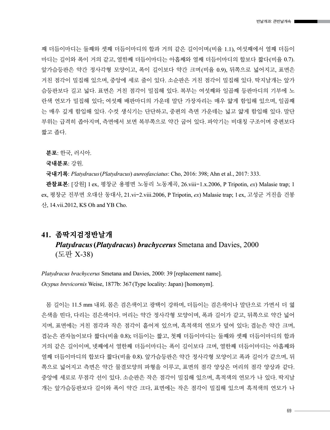 페이지