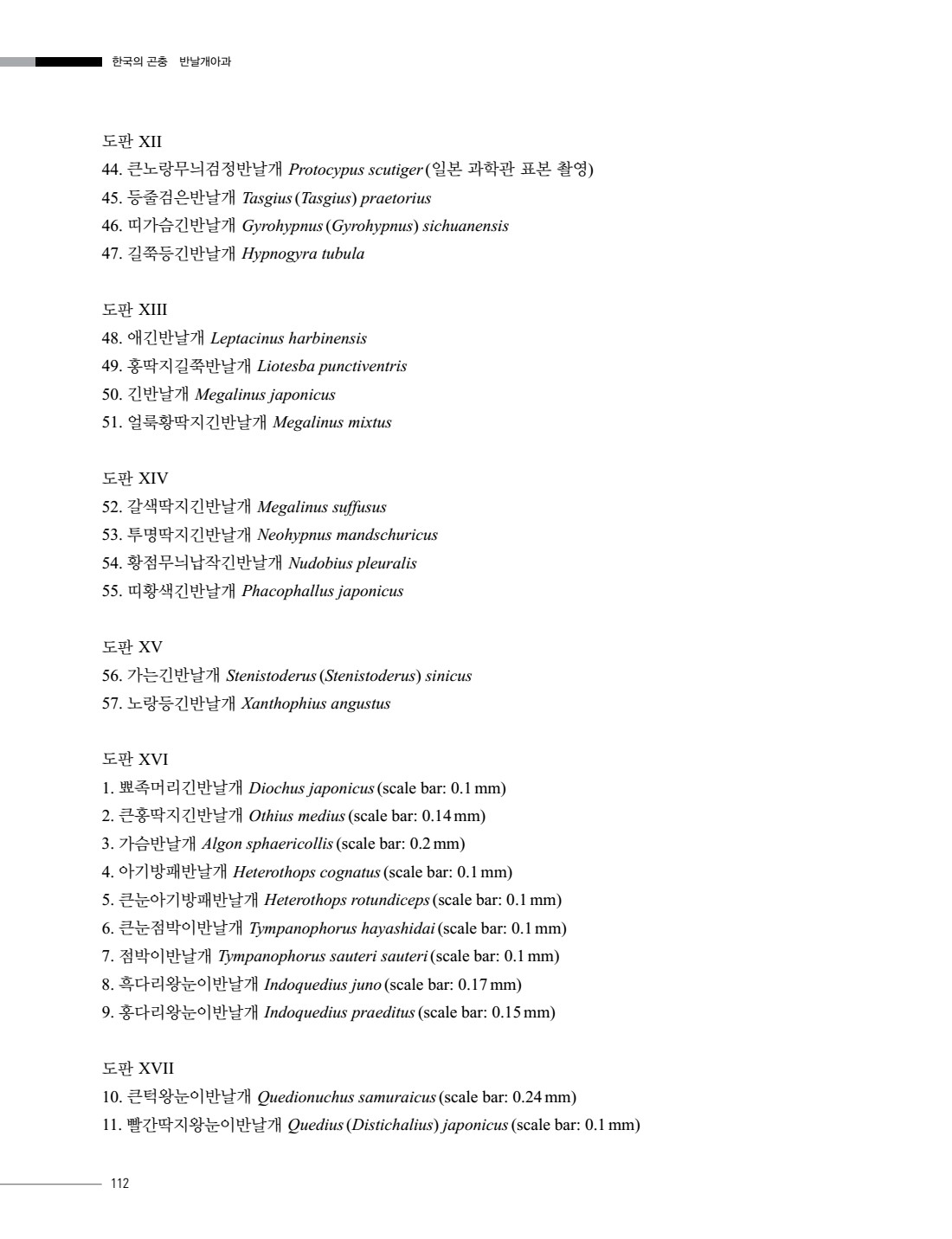 페이지