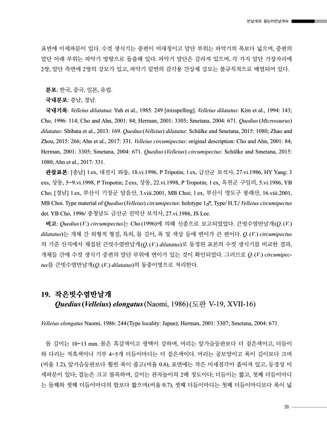 39페이지