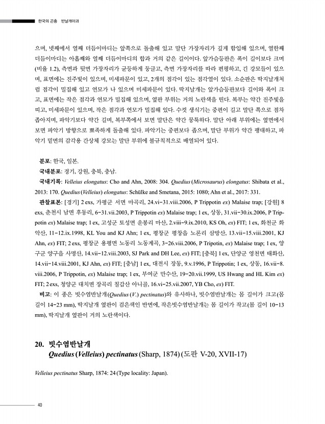 40페이지