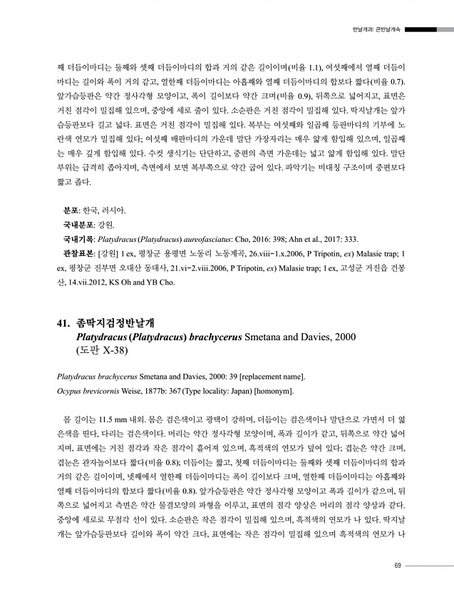 69페이지