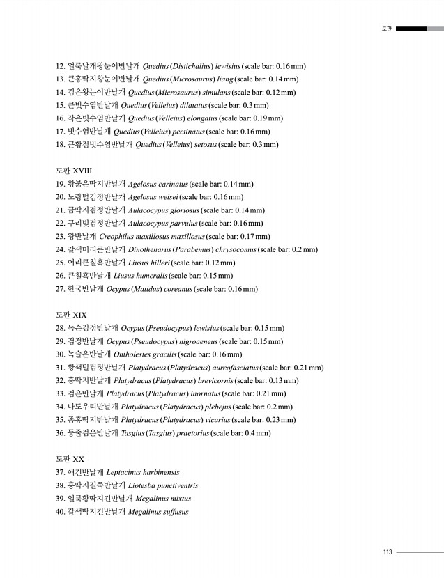 113페이지