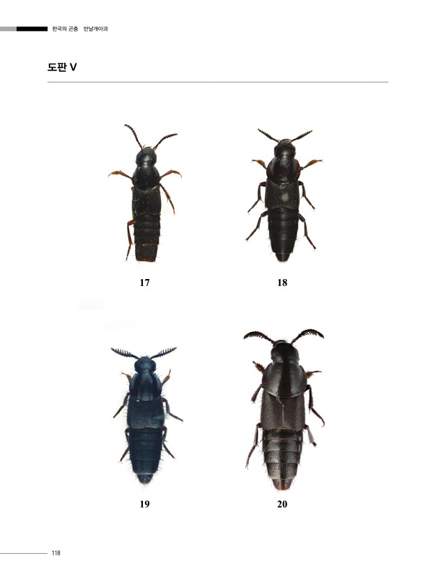 118페이지