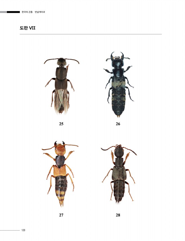 120페이지