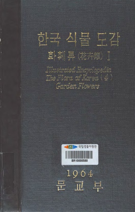 페이지