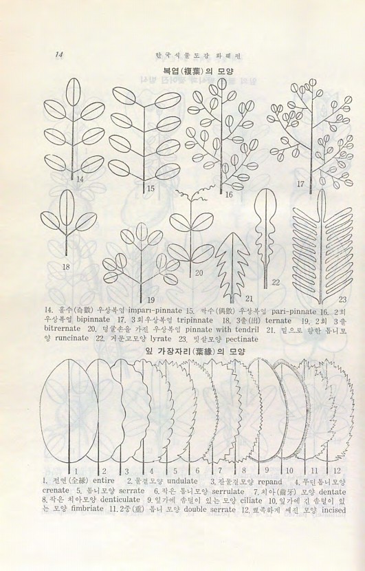 페이지