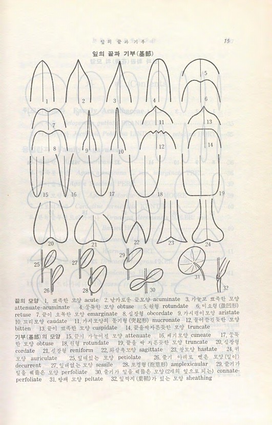 페이지
