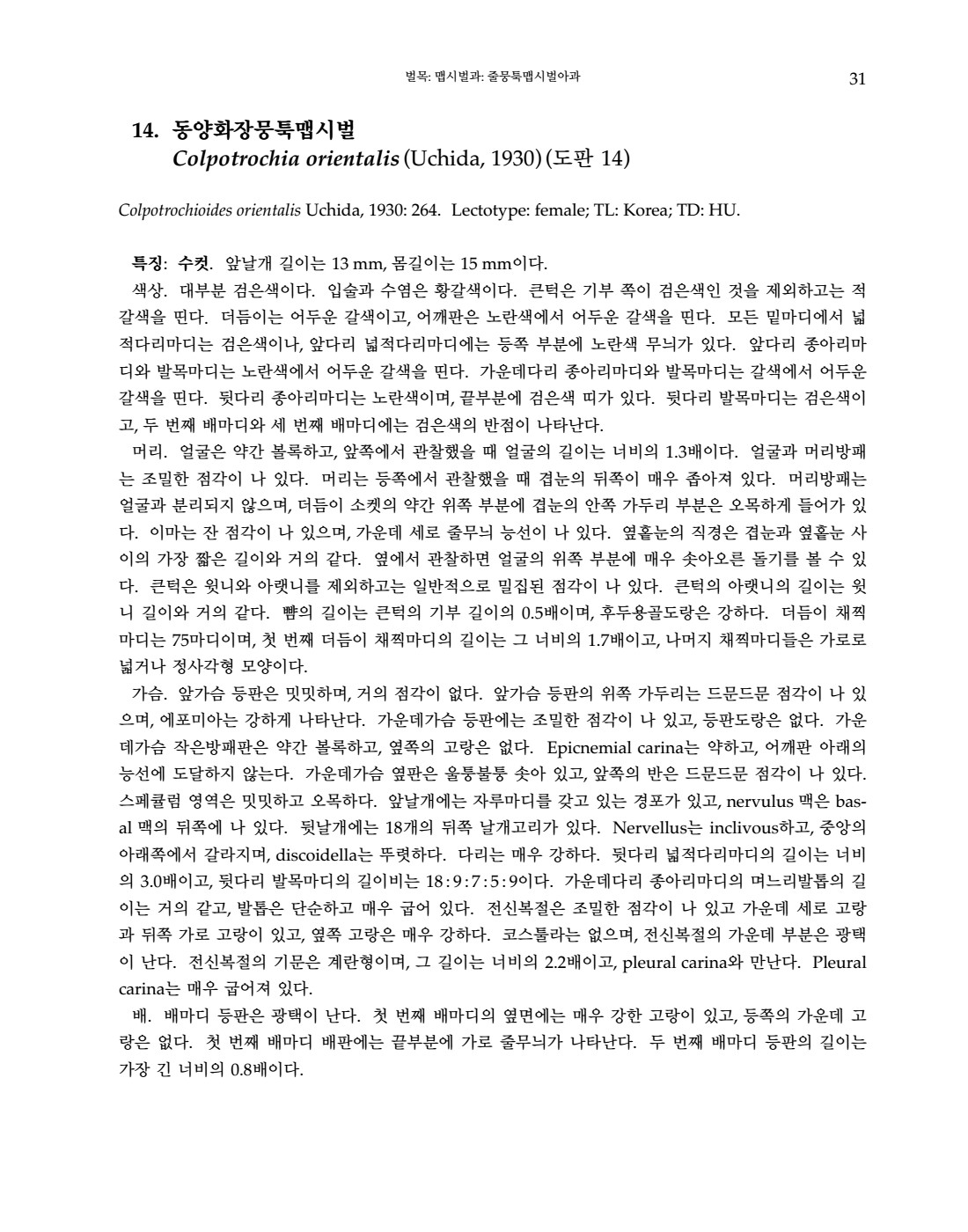 페이지