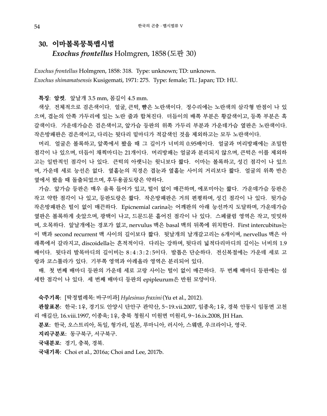 페이지