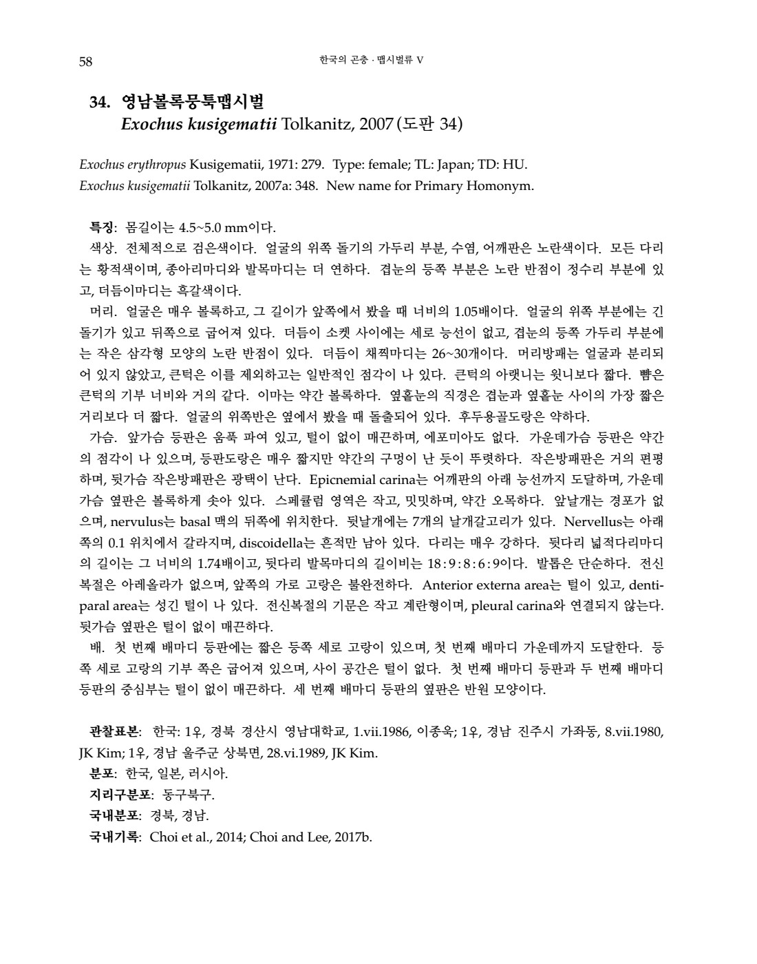 페이지