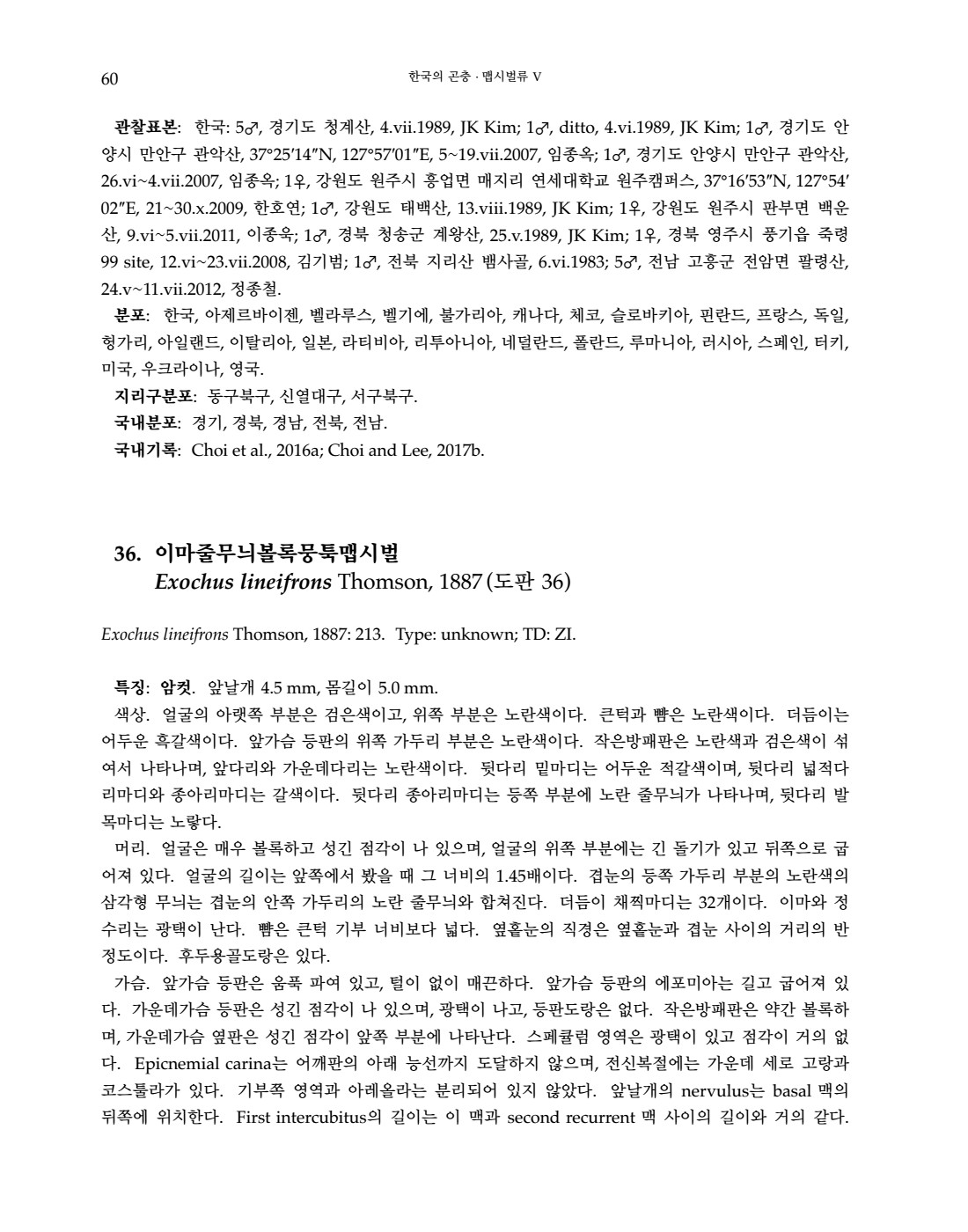 페이지