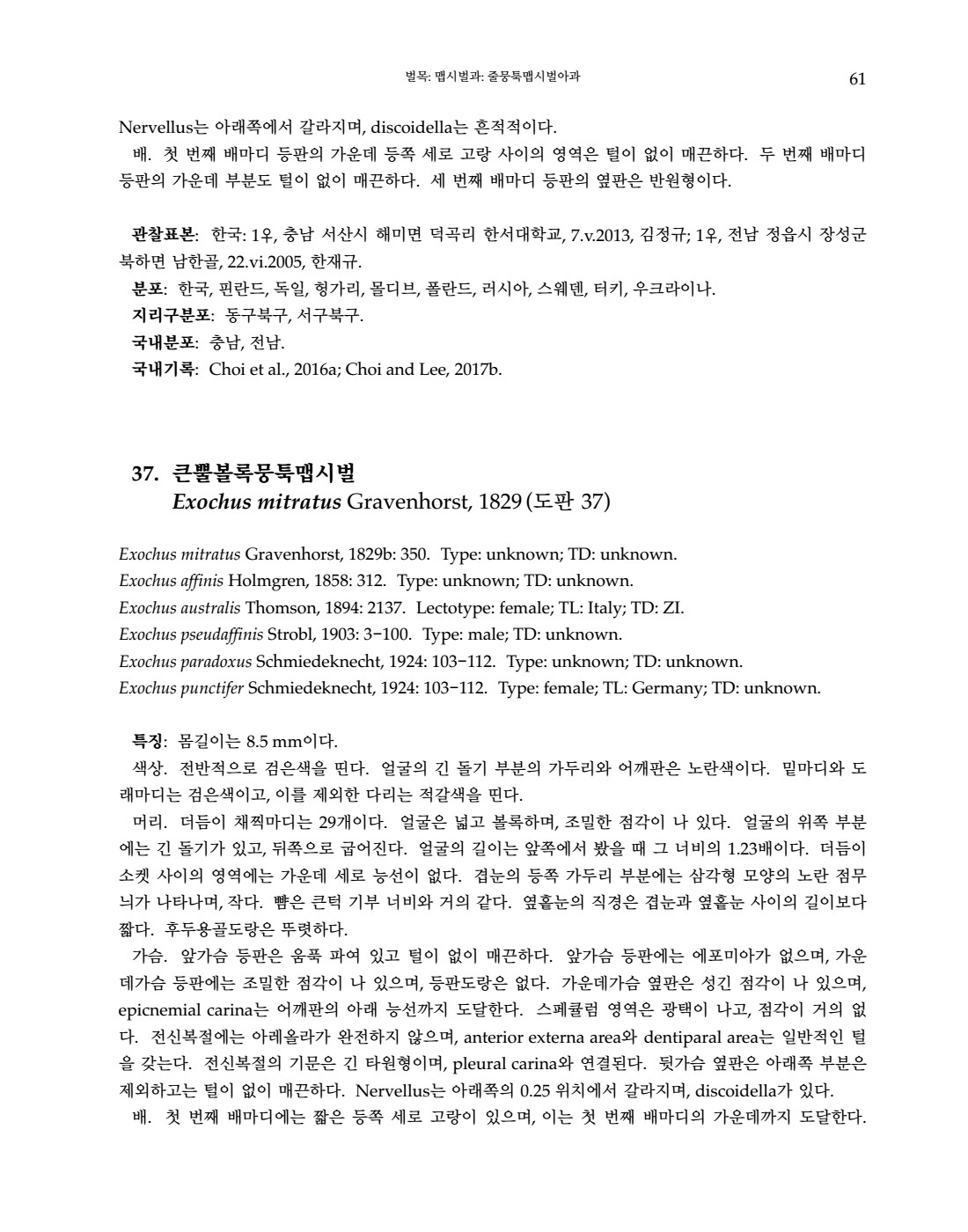 페이지