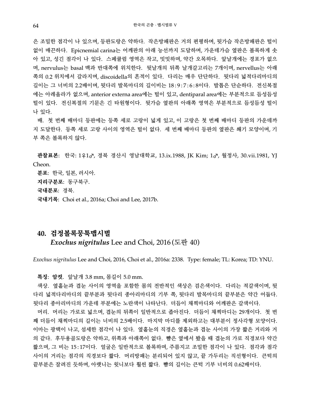 페이지