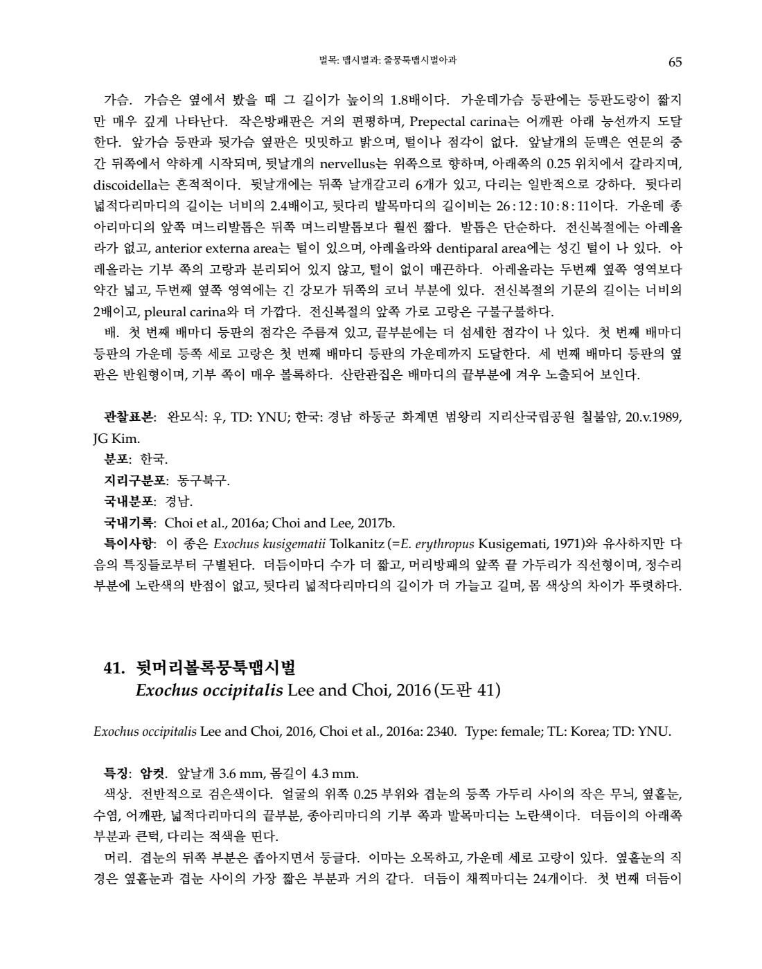 페이지