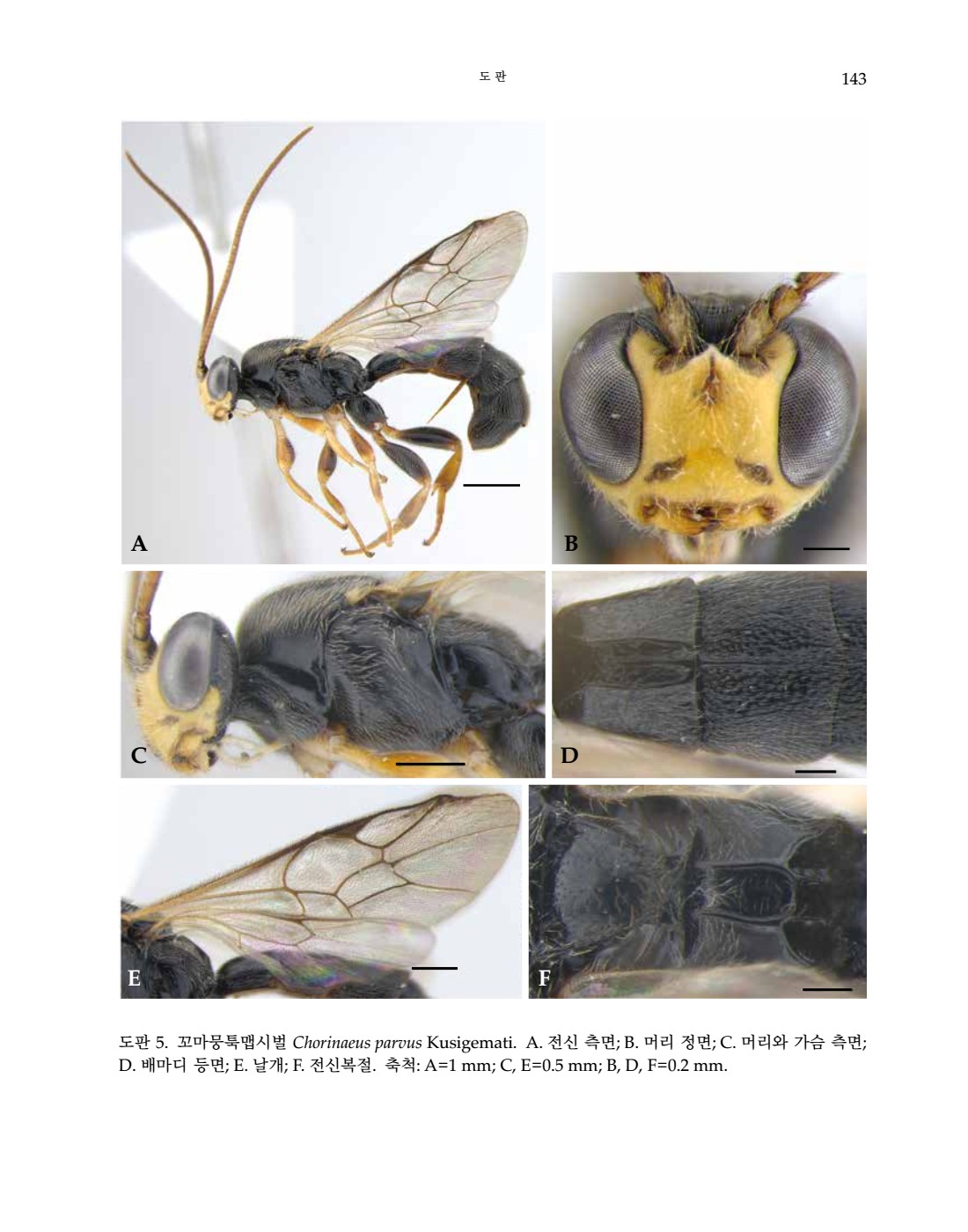 페이지