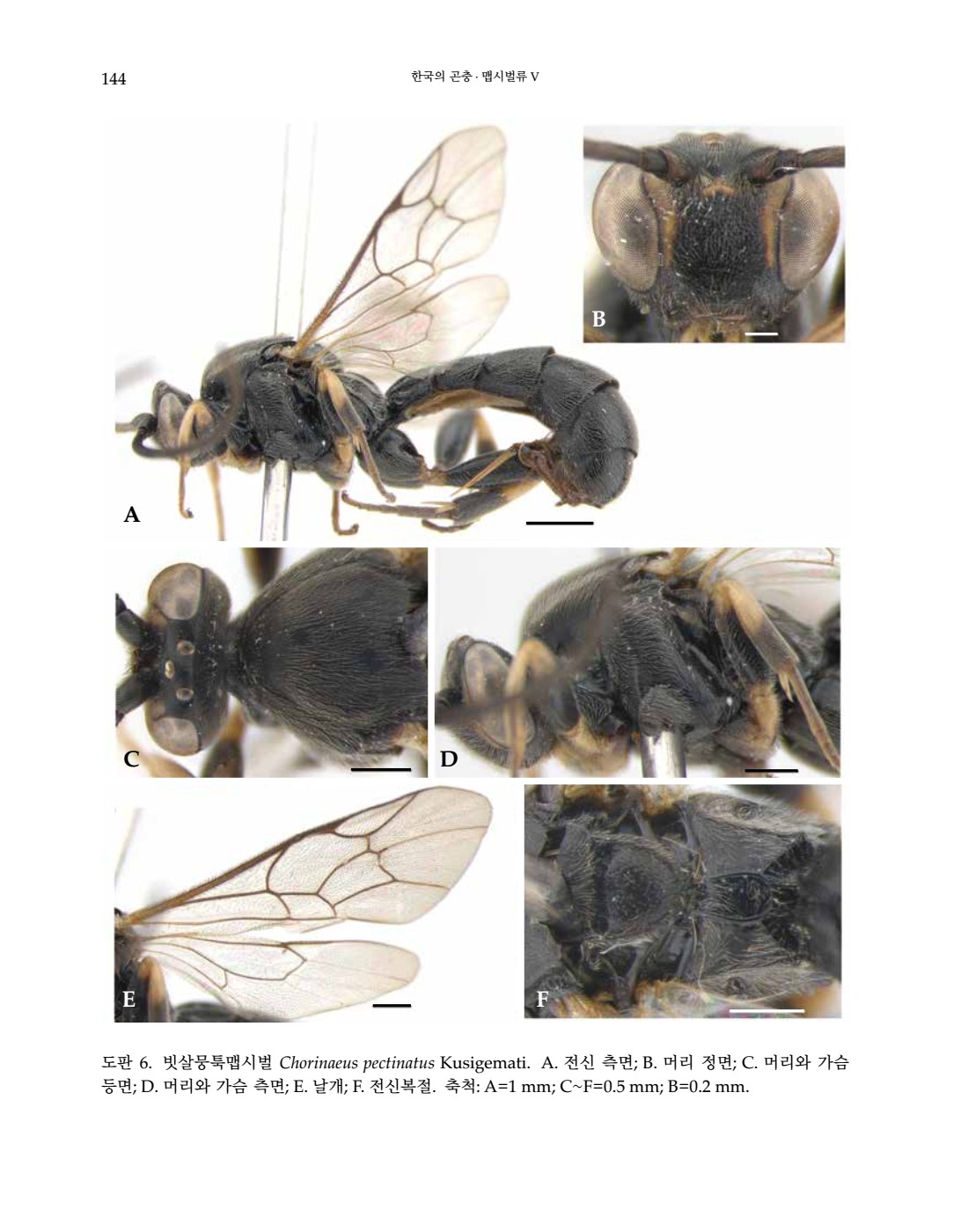 페이지