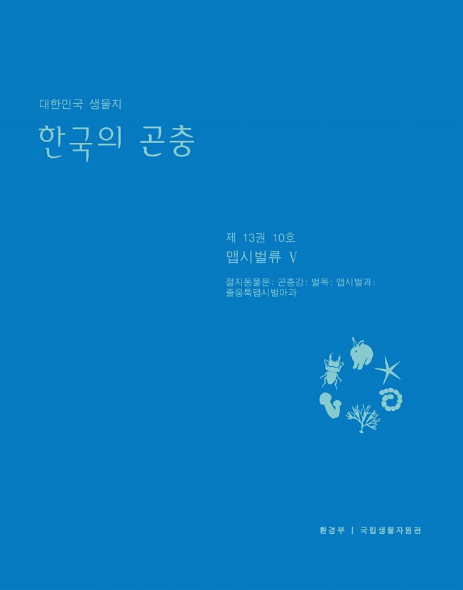 페이지