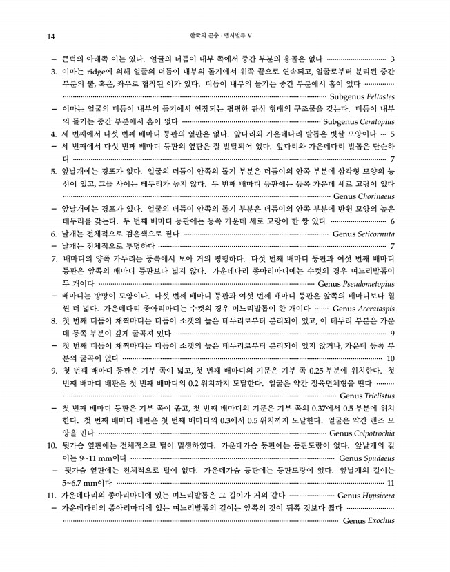 14페이지