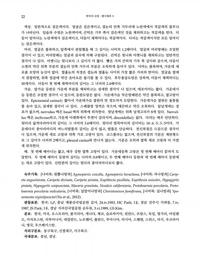 22페이지