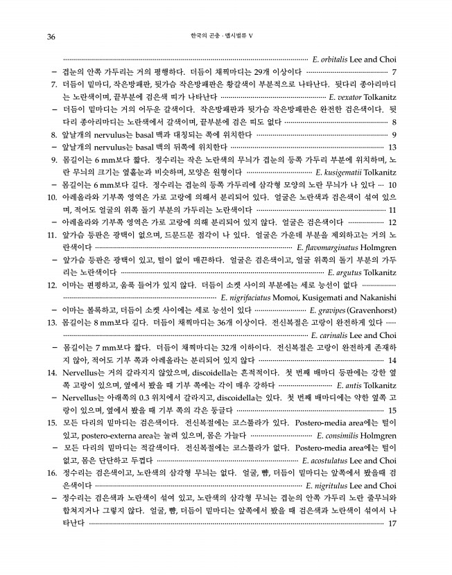 36페이지