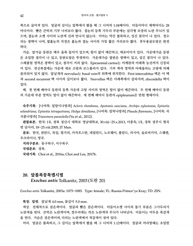 42페이지