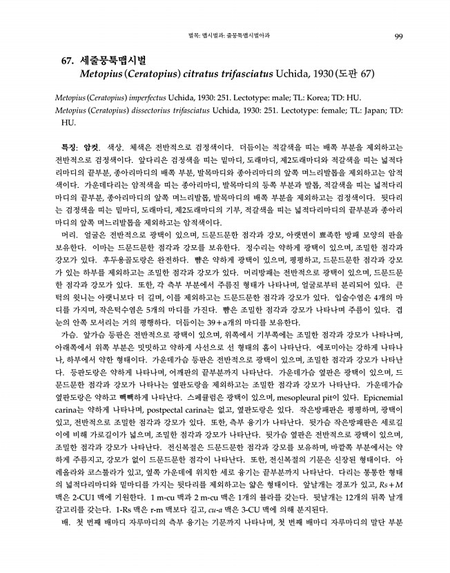 99페이지