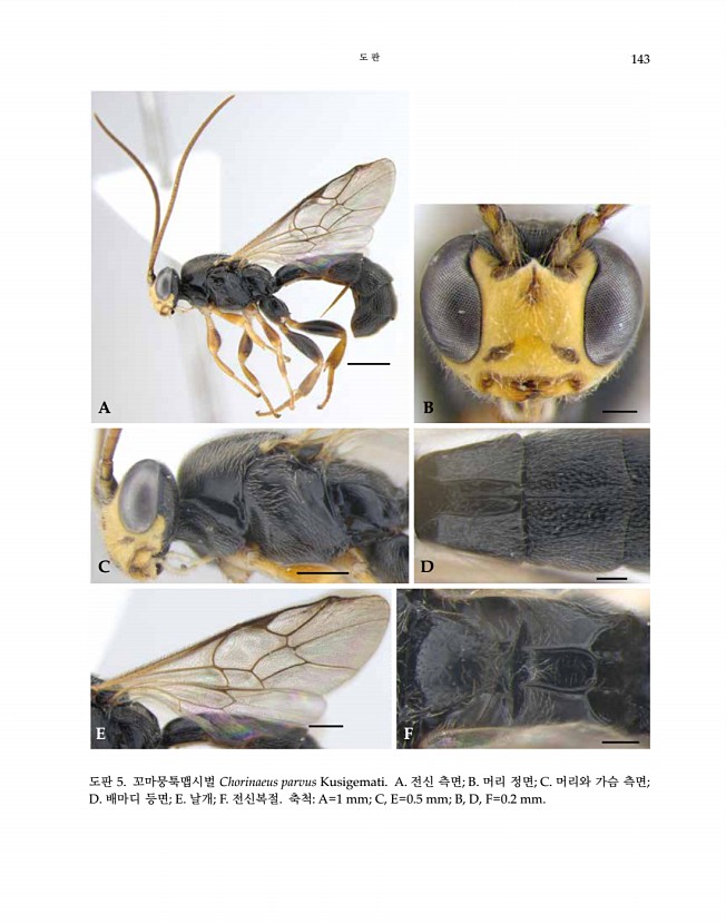 143페이지