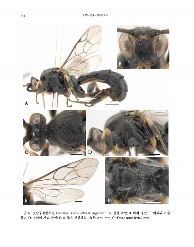 144페이지