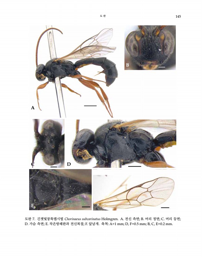 145페이지