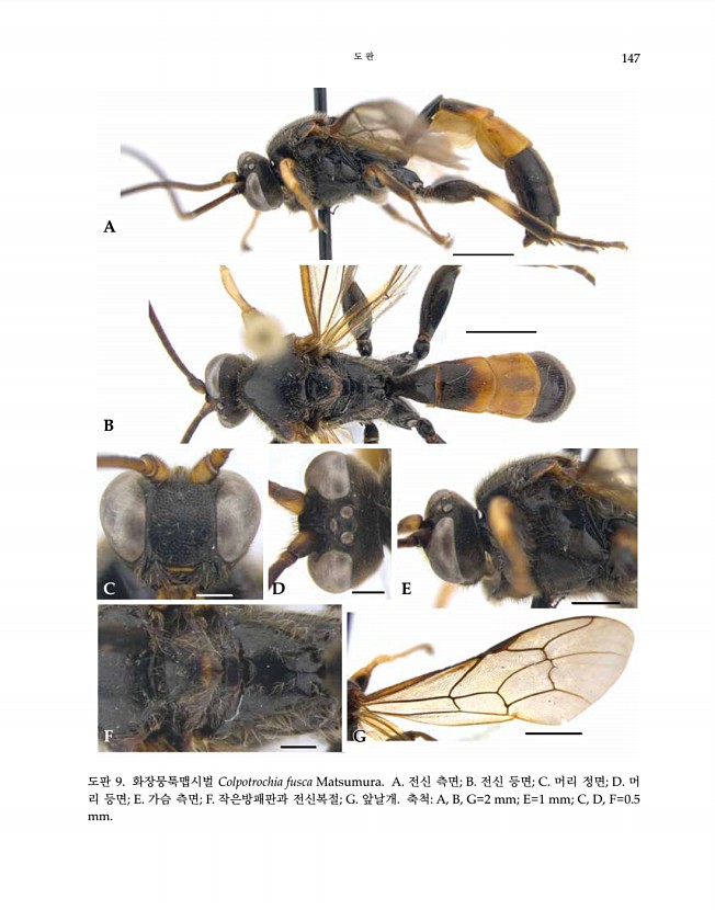 147페이지