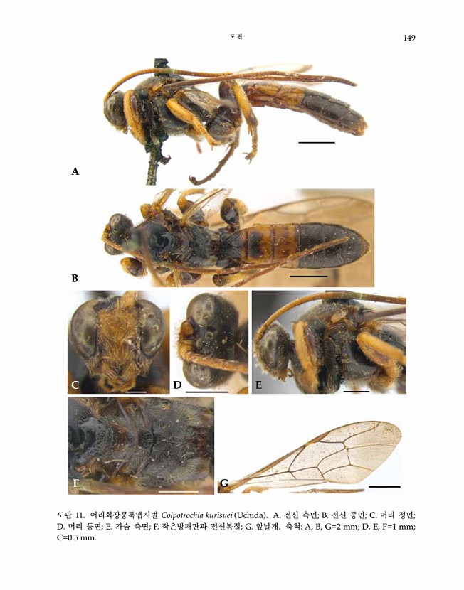 149페이지