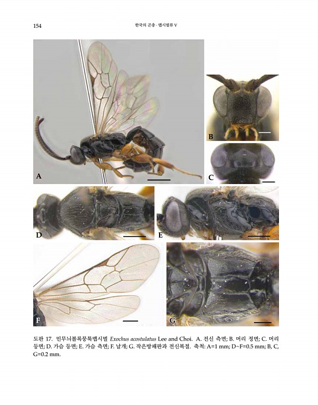 154페이지