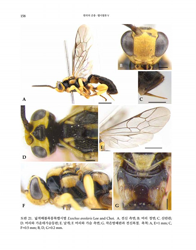 158페이지